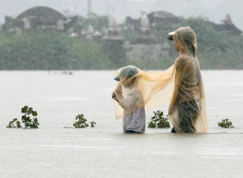 080112_ngaplut2.jpg