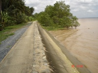 Anh_DLS_moi003.jpg
