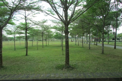 Anh_hanghtqt004.JPG